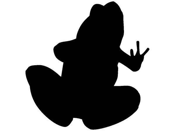 Животные 1326 Животные 1326