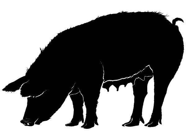 Животные 4049