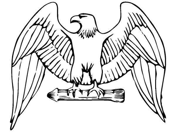 Животные 3776 Животные 3776