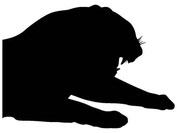 Животные 3106 Животные 3106