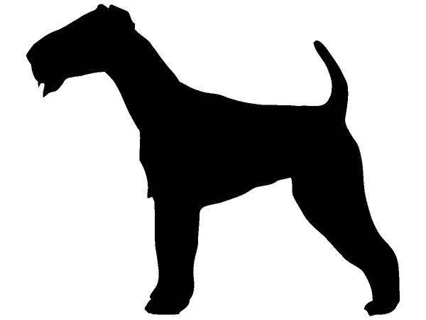 Животные 3124 Животные 3124