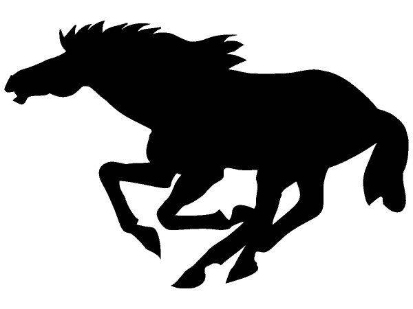 Животные 555 Животные 555