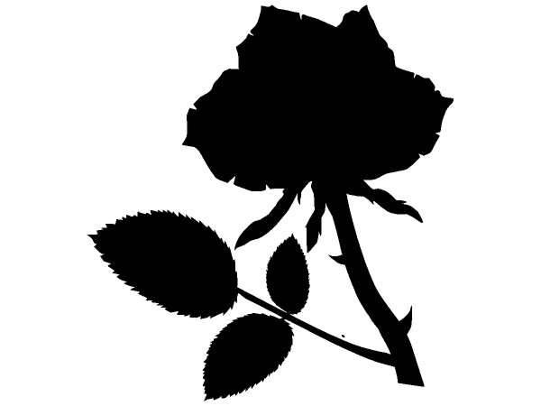 Природа 321