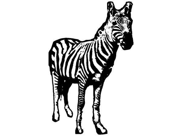 Животные 838