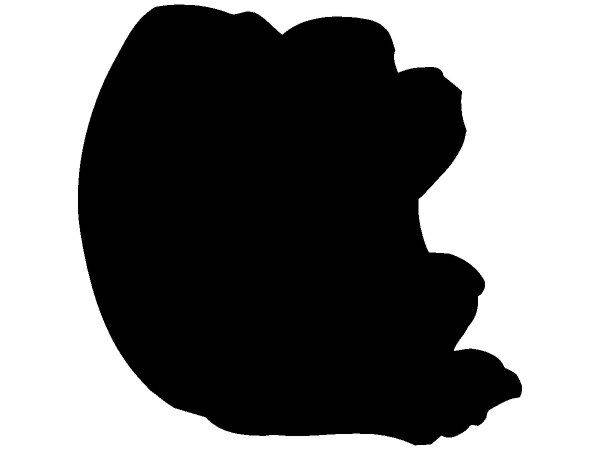 Животные 401