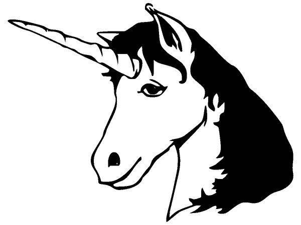 Животные 2886