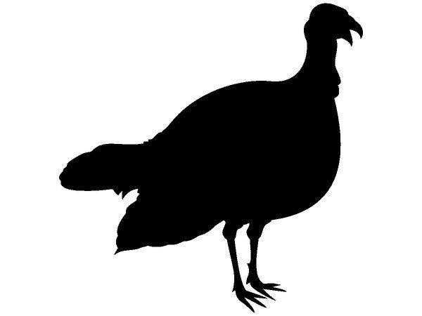 Животные 432