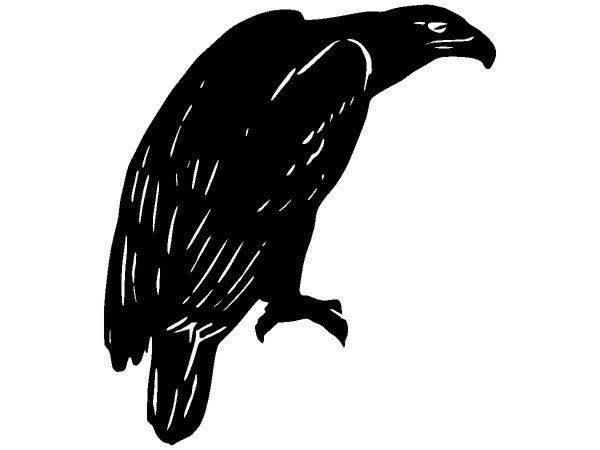 Животные 2872