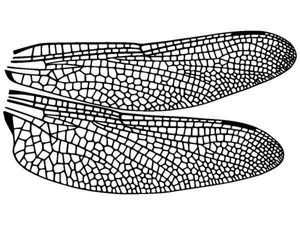 Животные 3322 Животные 3322