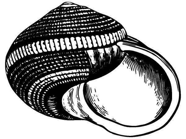 Животные 3870 Животные 3870