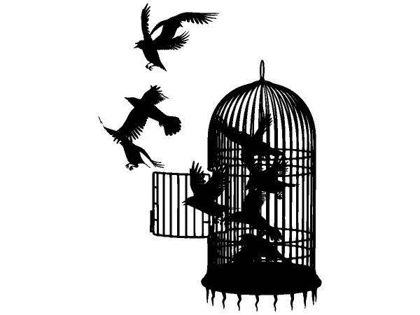 Животные 4087