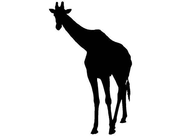 Животные 2244 Животные 2244