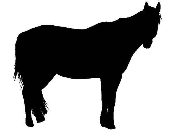 Животные 4139