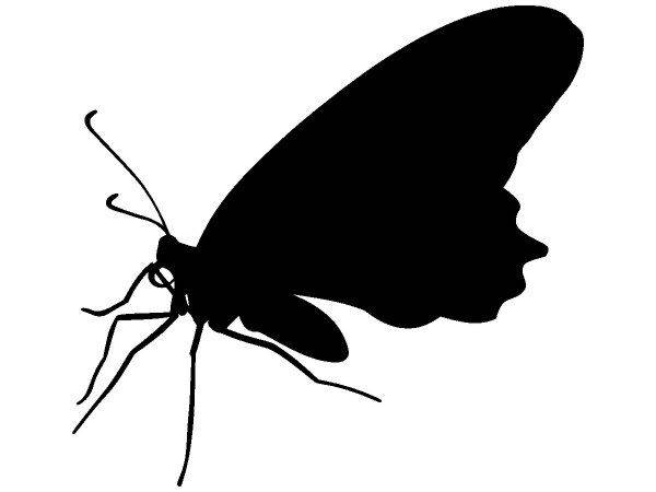 Животные 2280 Животные 2280