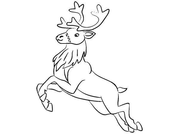 Животные 3939