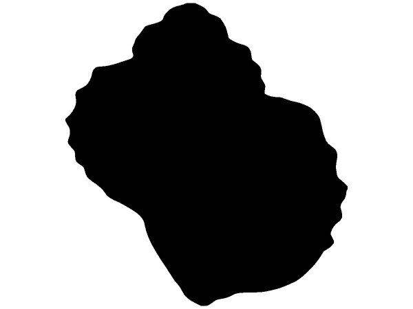 Животные 3991