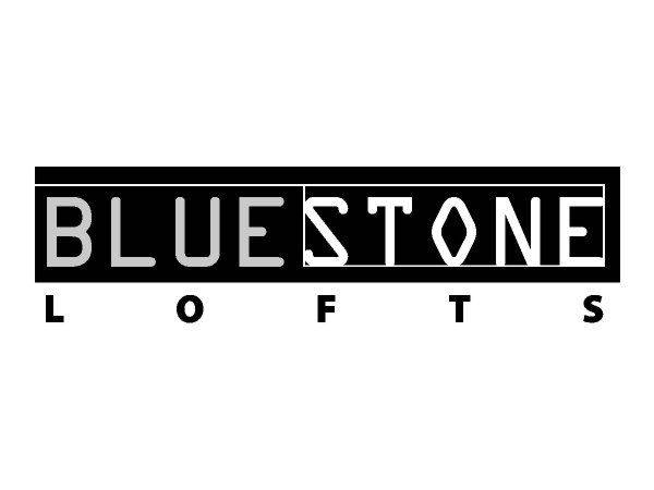 Blue Stone logo Blue Stone logo