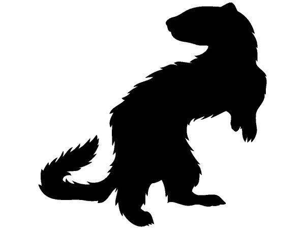 Животные 441