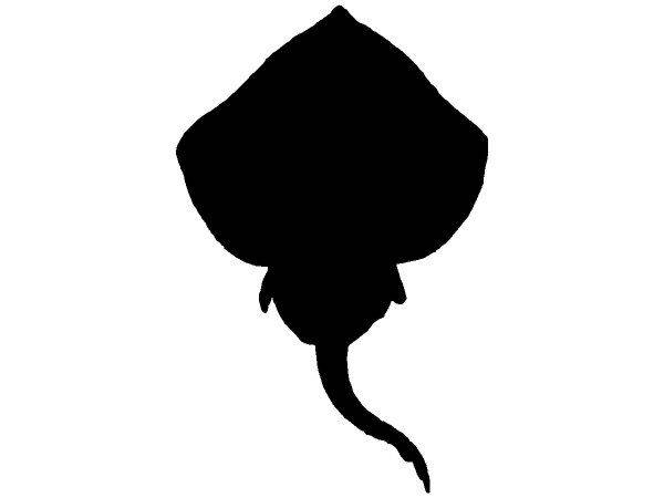 Животные 3320 Животные 3320