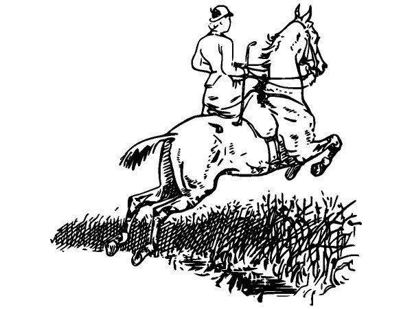 Животные 2894