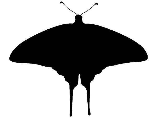 Животные 3740 Животные 3740