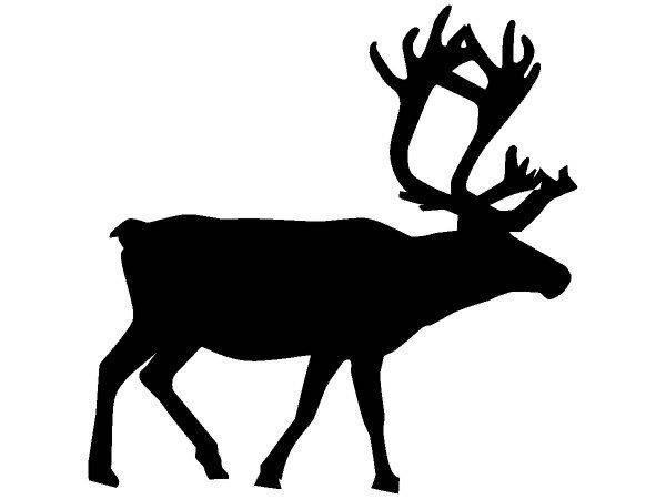 Животные 741