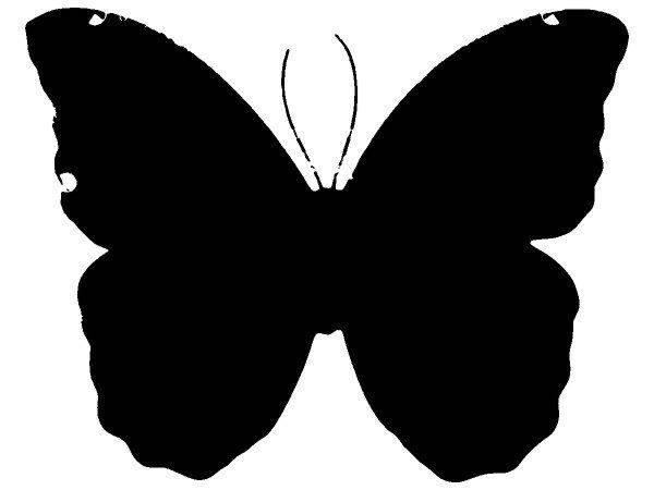 Животные 2196 Животные 2196