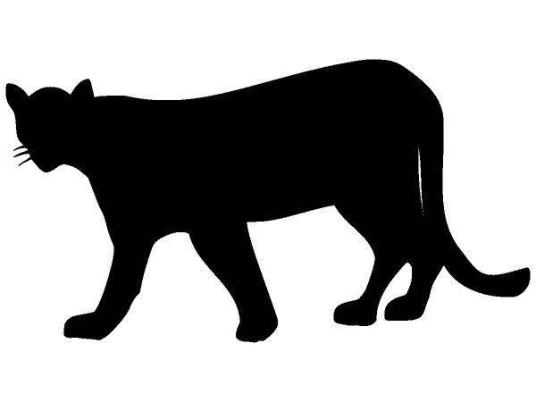 Животные 327