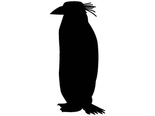 Животные 3705 Животные 3705