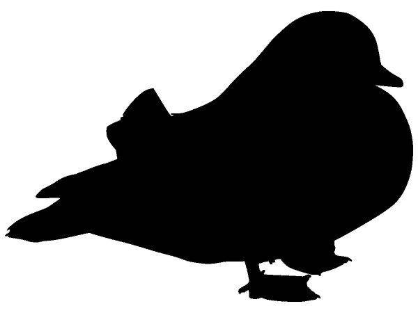 Животные 4145