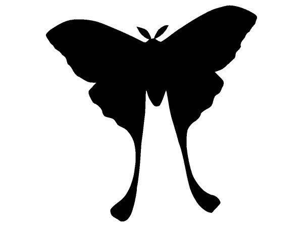 Животные 3240 Животные 3240