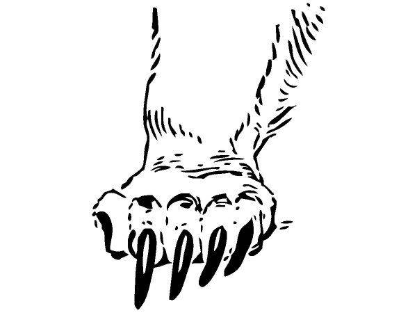 Животные 128 Животные 128