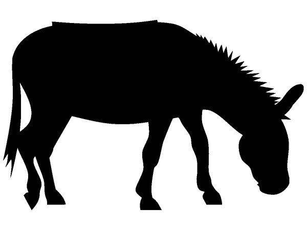 Животные 1476