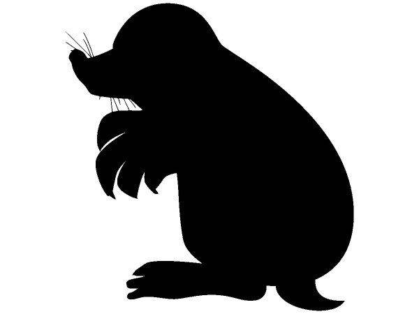 Животные 357