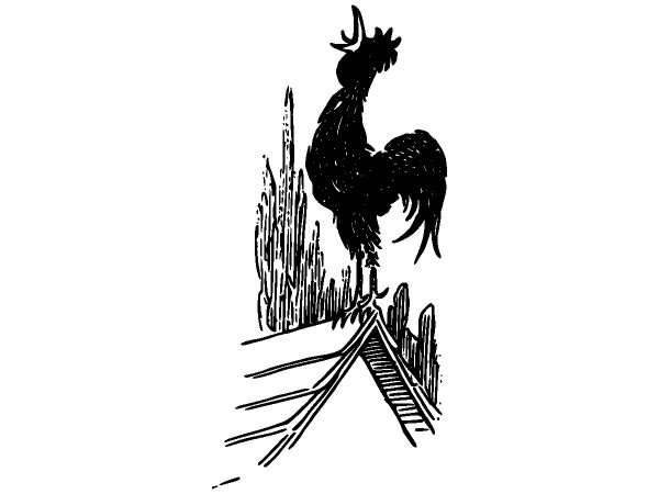 Животные 832