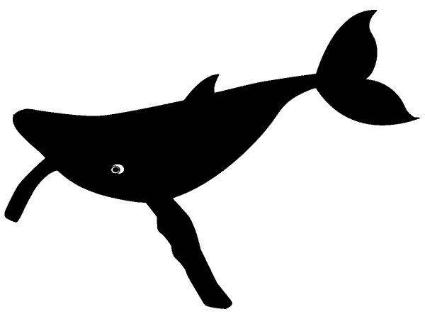 Животные 1367