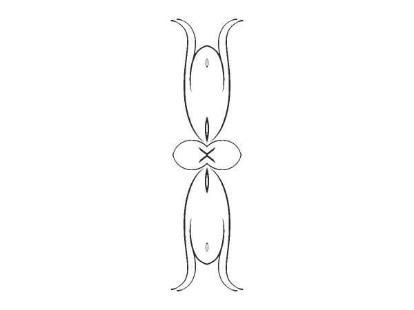 Орнамент цветы 395