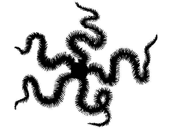 Животные 3846