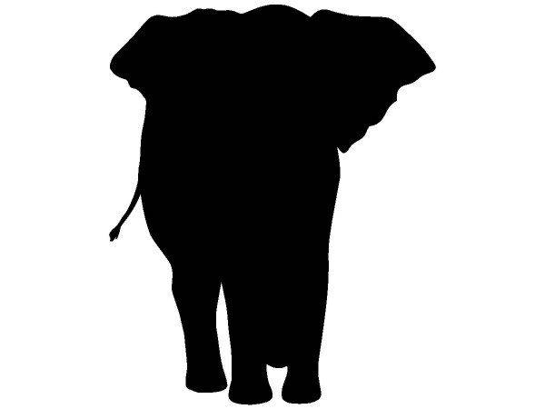 Животные 690 Животные 690