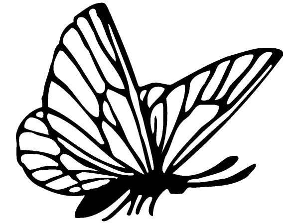 Животные 1293