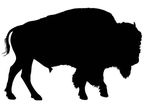 Животные 3509 Животные 3509