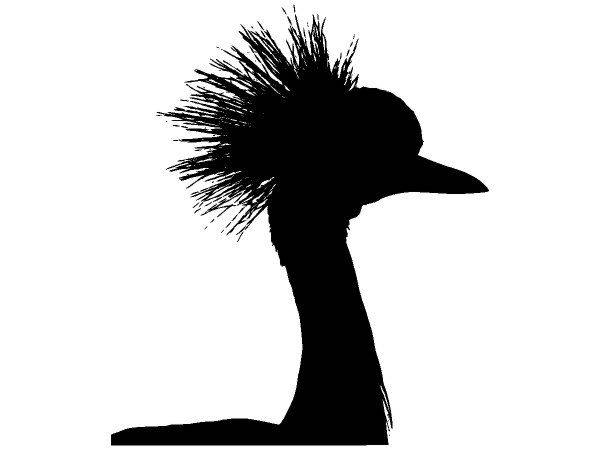 Животные 3201