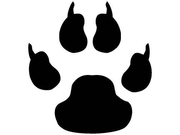 Животные 3747 Животные 3747