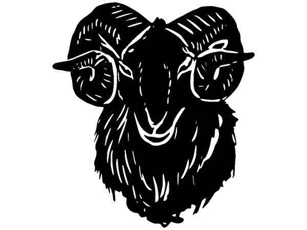 Животные 2867