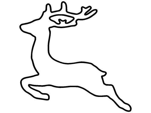 Животные 1354