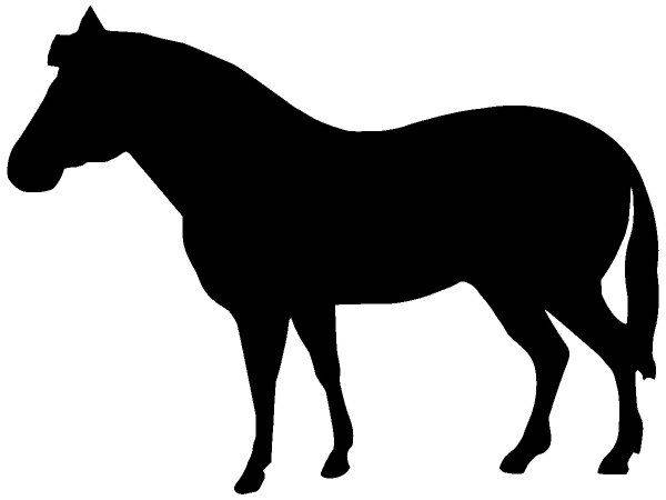 Животные 3198