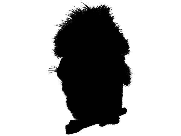 Животные 4161