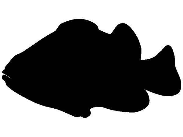 Животные 2972 Животные 2972