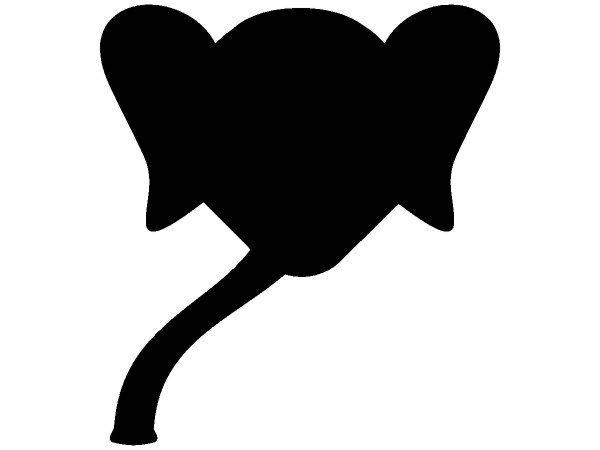 Животные 1375