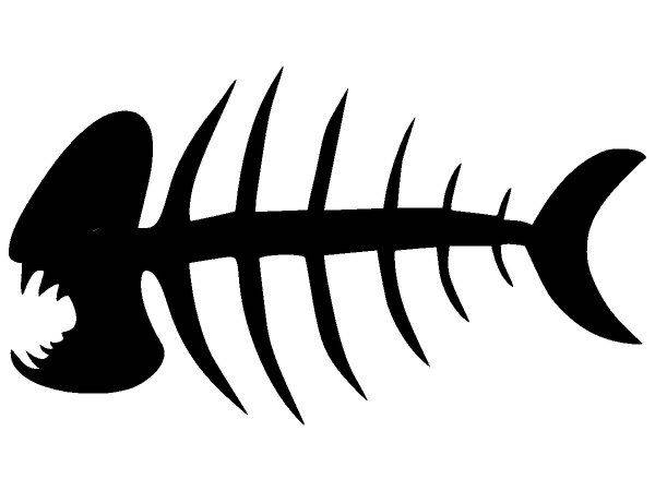 Животные 4000